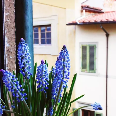 In Via San Gallo *